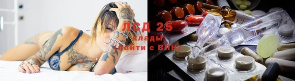ECSTASY Армянск