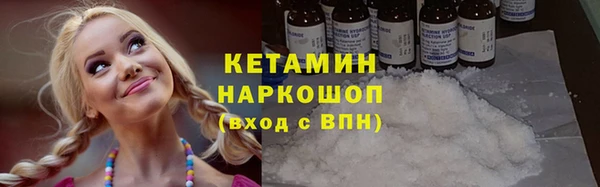 гашик Алексин