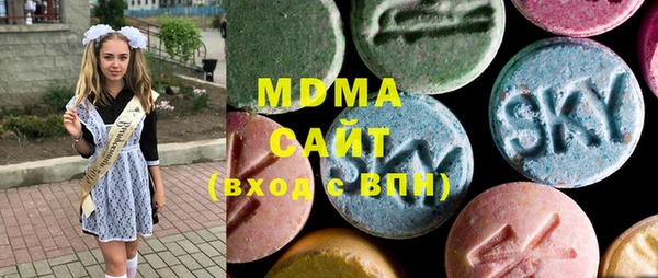 гашик Алексин