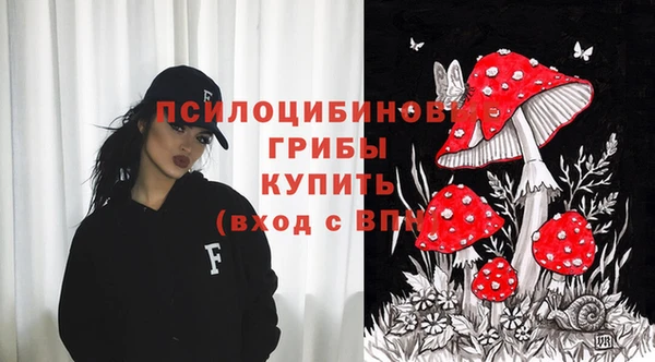 ешки Санкт-Петербург