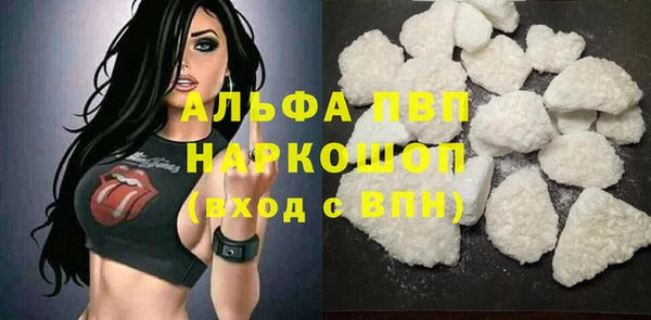 гашик Алексин